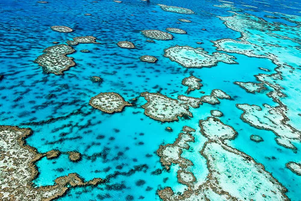 Paddock to Reef Program: united for Reef outcomes