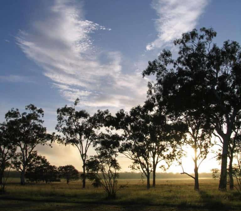 Research Prospectus for natural resource management in Queensland