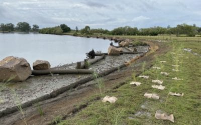 Reducing erosion in the Caboolture River