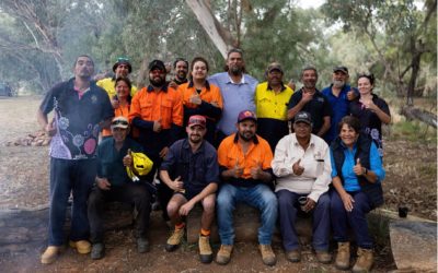 Successful bare ground recovery of 66,000ha in south-western Queensland