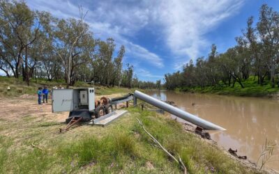 Keeping native fish in the Murray-Darling Basin